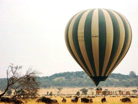 Serengeti Balloon safari